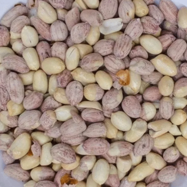Roasted Salted Peanuts / Gujarati Khari Seeng 500 gm - Image 2