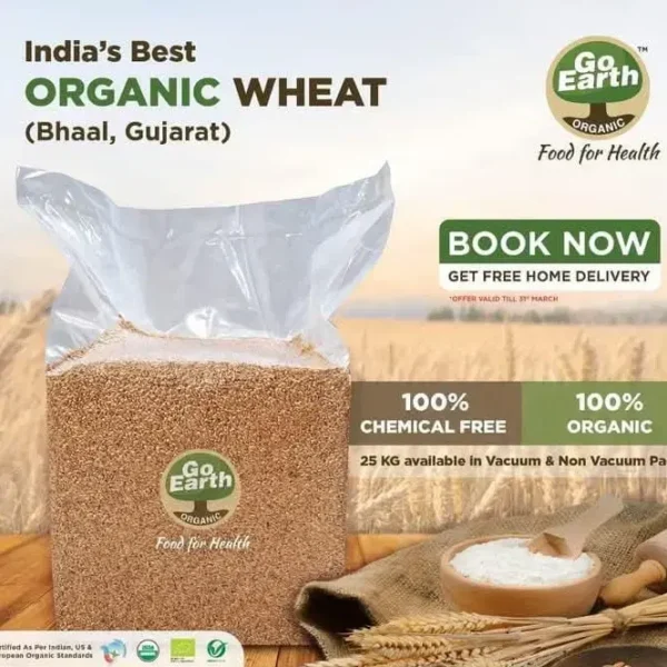 Organic Bhaliya Wheat / Gehu (Long Grain) - Image 2